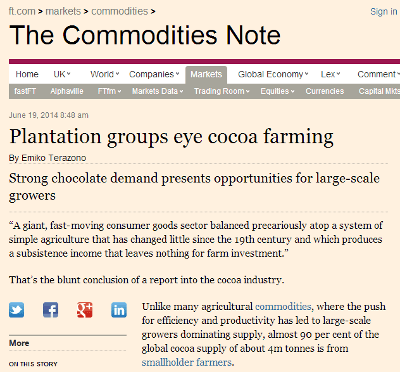 plantation-companies-focus-on-cocoa-farming
