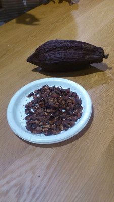 bean-to-bar-chocolate-making-workshop29