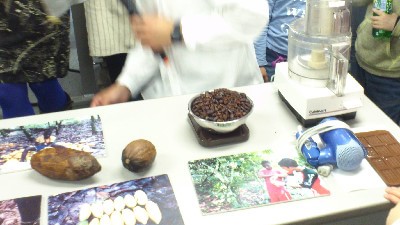 bean-to-bar-chocolate-making-experience-brazil-and-ghana06