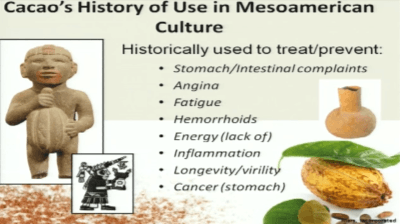 historical-uses-of-cacao-scientific-research-on-health-benefits-chocolate-cocoa-flavanols2