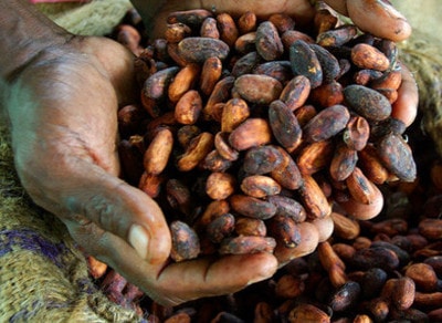 cocoa-bean-farmers-grants-fund-by-germany-and-philippines