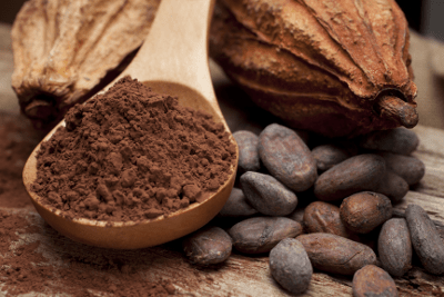 fresh-cocoa-beans-contains-10-percent-weight-flavanols