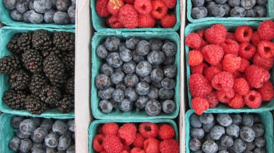 best-9-berries-for-health