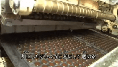 chocolate-manufacturing-process4