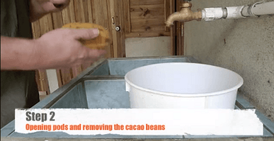 make-chocolate-from-cacao-beans-by-simple-10-step02 make-chocolate-from-cacao-beans-by-simple-10-step02