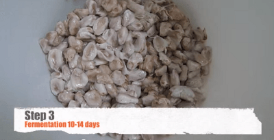 make-chocolate-from-cacao-beans-by-simple-10-step03 make-chocolate-from-cacao-beans-by-simple-10-step03