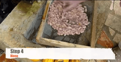 make-chocolate-from-cacao-beans-by-simple-10-step04 make-chocolate-from-cacao-beans-by-simple-10-step04