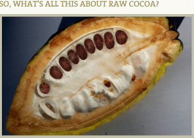all-about-raw-cacao