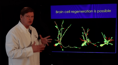 neurogenesis-dark-healthy-chocolate-brain-cell-regeneration2