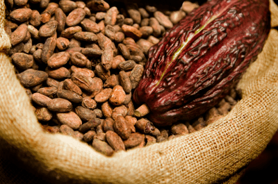 cacao-beans-bear-market-chocolate-heat-cools-before-valentines-day