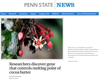 gene-is-found-to-control-the-melting-point-of-cocoa-butter