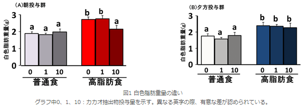 energy-metabolism-effects-of-cocoa-polyphenols-intake-different-in-the-morning-and-evening