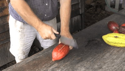 chocolate-making-from-cocoa-pod-original-hawaiian-chocolate3