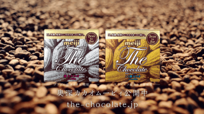 the-chocolate-meiji-bean-to-bar-chocolate8