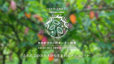 cacao-tree-ownership-system