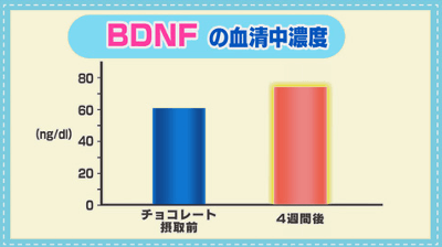 underlying-strength-of-chocolate-in-nhk-tv