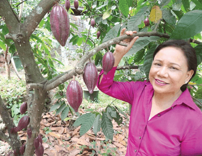 cacao-summit-in-may-philippines-cebu-city