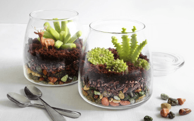 edible-terrariums-with-cocoa-nibs1