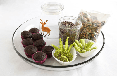 edible-terrariums-with-cocoa-nibs2