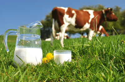 people-drink-low-fat-milk-high-risk-of-diabetes