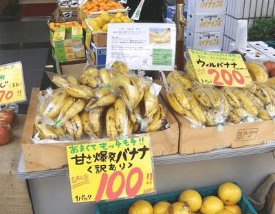 8-merit-to-eat-fruit-such-as-enzymes