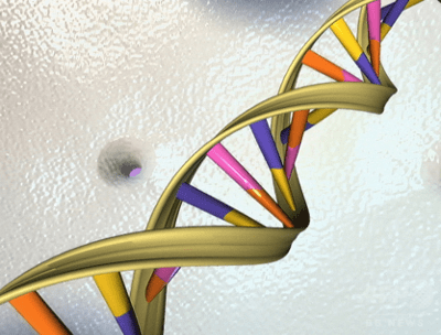 mother-dna-holds-the-key-to-healthy-aging
