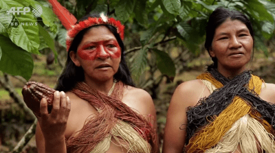ecuador-tribe-swaps-hunting-for-cocoa-farming-to-save-forest2