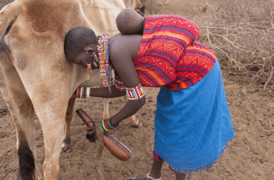 masai-no-vegetables-fruits-still-healthy-because-of-carbohydrate-restricted-diet