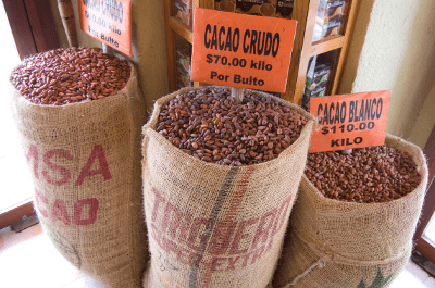 cacao-city-mexico-oaxaca