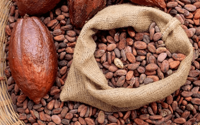 cocoa-bean-price-is-low-in-good-weather