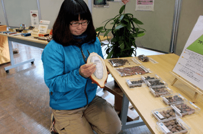 cocoa-chocolate-exhibition-at-uji-city-botanic-gardens