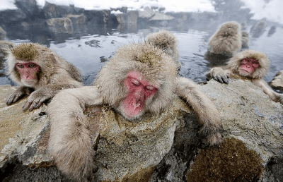 bathing-and-sauna-are-healthy-as-well-as-exercise